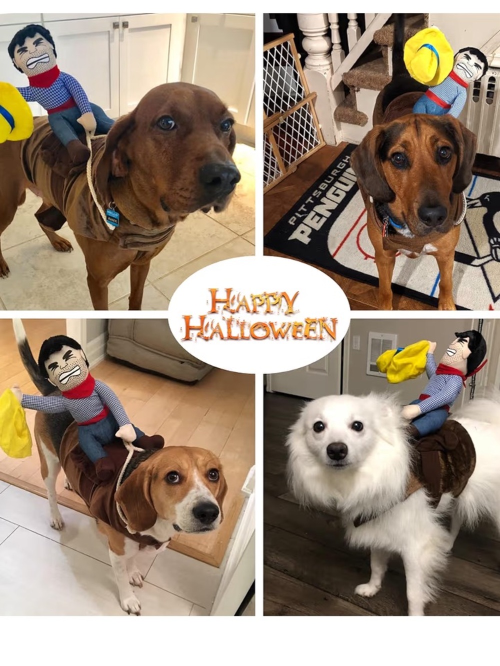 NWOT Riding Cowboy Saddle Dog Halloween Costume - Picture 6 of 7